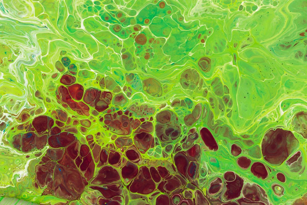 Nutritional Benefits